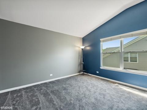 2321 Tracy Ln, Algonquin, IL 60102 photo 16