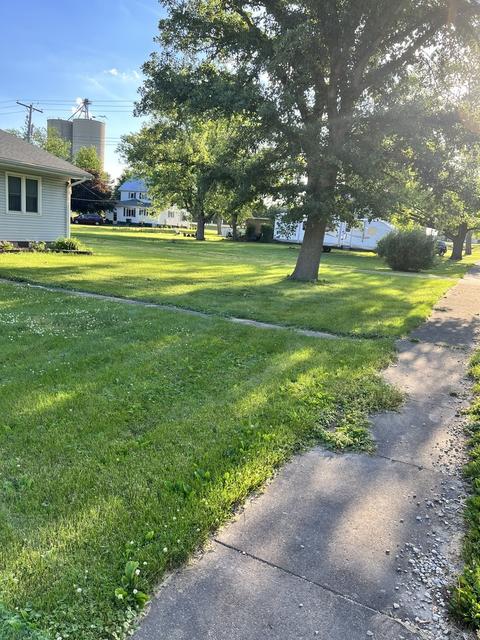 101 Washington St, Danforth, IL 60930 photo 23