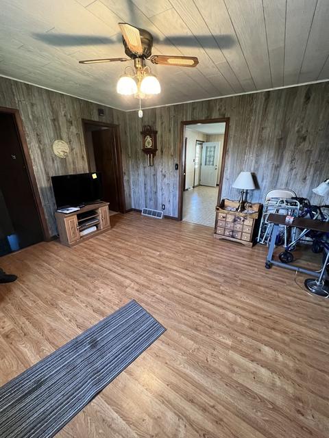 101 Washington St, Danforth, IL 60930 photo 5