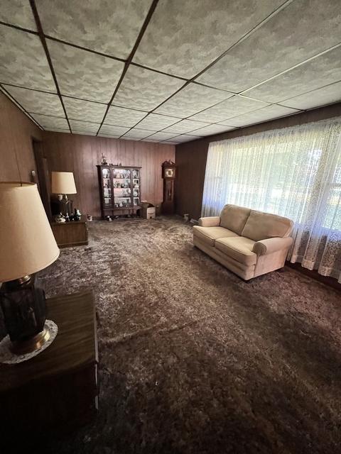 101 Washington St, Danforth, IL 60930 photo 13