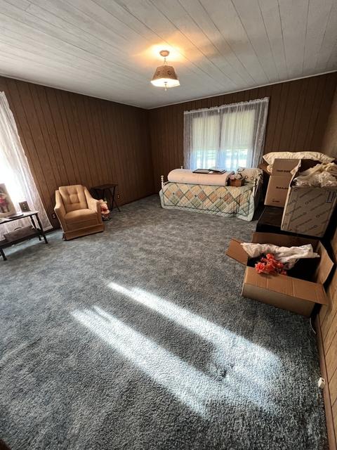 101 Washington St, Danforth, IL 60930 photo 20
