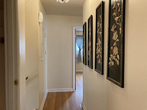 6 N Highview Ave, Addison, IL 60101 photo 10