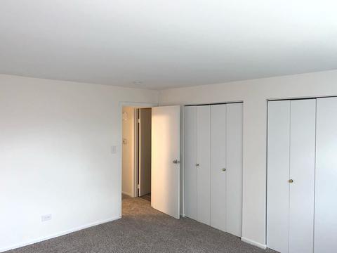 5406 Chateau #6, Rolling Meadows, IL 60008 photo 10