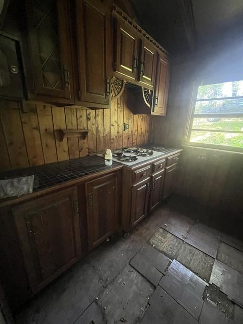 126 Hilltop Rd, Oakwood Hills, IL 60013 photo 3