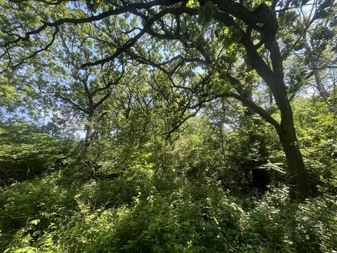 126 Hilltop Rd, Oakwood Hills, IL 60013 photo 15