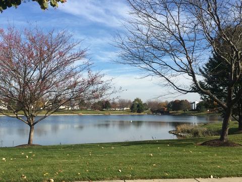 26503 Silverleaf Dr, Plainfield, IL 60585 photo 35