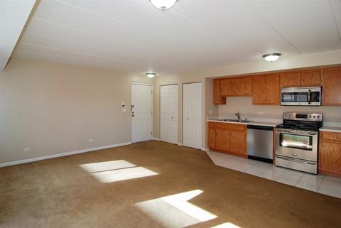 7336 40th St #4E, Lyons, IL 60534 photo 4