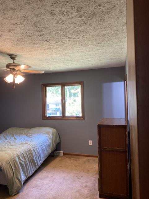 109 S Parkside Rd, Normal, IL 61761 photo 19