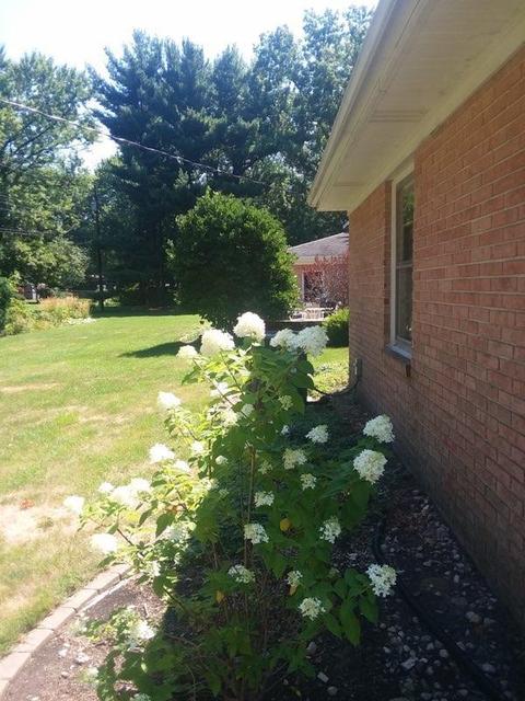 2804 E Oakland Ave, Bloomington, IL 61704 photo 9