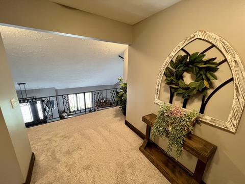 8100 Old Ridge Rd, Plainfield, IL 60544 photo 42