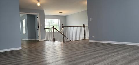 26342 W Silver Stream Dr, Channahon, IL 60410 photo 19