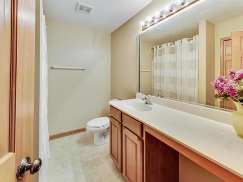 2917 Arbor Dr, Mchenry, IL 60050 photo 44