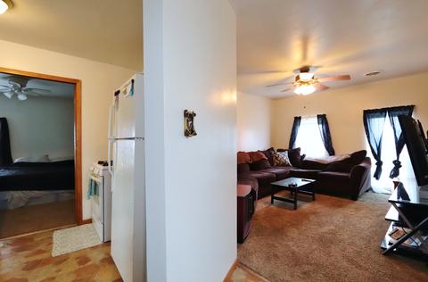 303 North St, Mazon, IL 60444 photo 5
