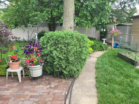 4621 Joliet Ave, Lyons, IL 60534 photo 15