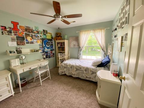 233 Dickens Trl, Elgin, IL 60120 photo 14