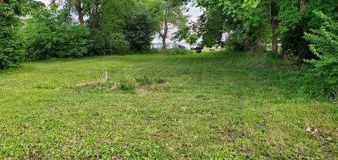 105 W Main St, Downs, IL 61736 photo 1