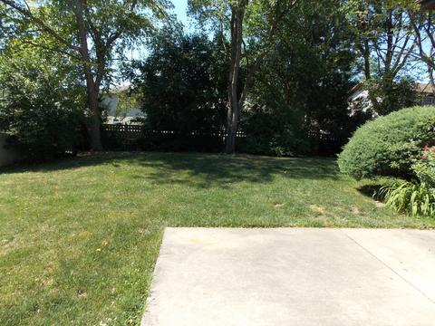204 Walters Ln, Itasca, IL 60143 photo 21