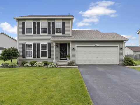 1339 Dahlgren Ln, Minooka, IL 60447 photo 2