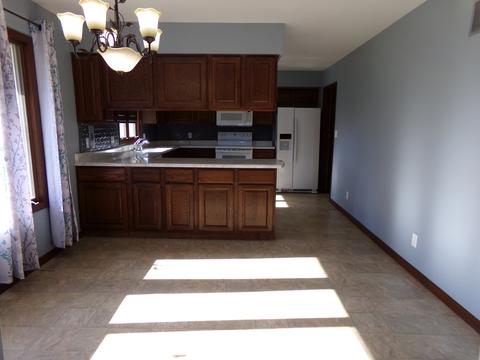 403 S Washington St, Dwight, IL 60420 photo 3