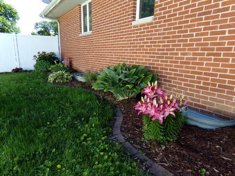 403 S Washington St, Dwight, IL 60420 photo 20