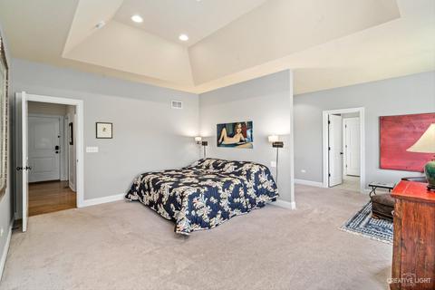 3605 Wetlands Dr, Elgin, IL 60124 photo 24