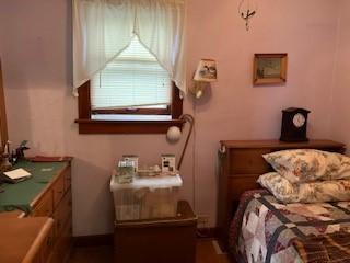 305 E 1st St, Spring Valley, IL 61362 photo 13