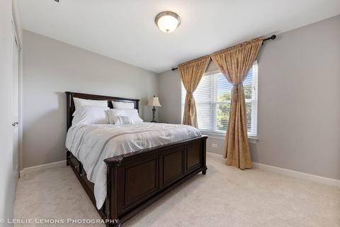 12633 Coreopsis Ct, Plainfield, IL 60585 photo 22