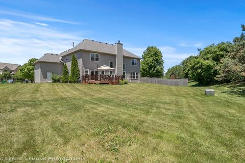 12633 Coreopsis Ct, Plainfield, IL 60585 photo 25