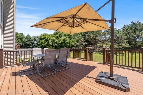12633 Coreopsis Ct, Plainfield, IL 60585 photo 23