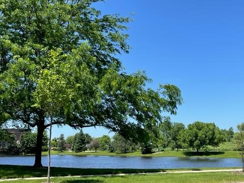 2 Bitter Spring Ct, Algonquin, IL 60102 photo 2