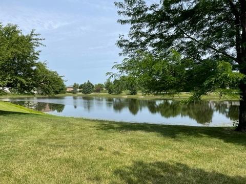2 Bitter Spring Ct, Algonquin, IL 60102 photo 31