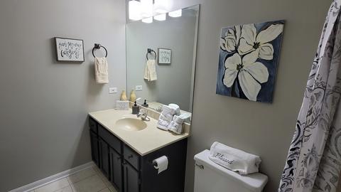 11368 Timer Dr, Huntley, IL 60142 photo 25