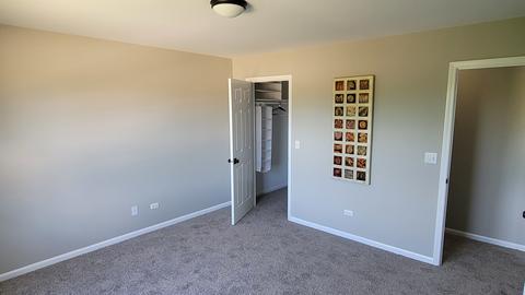 11368 Timer Dr, Huntley, IL 60142 photo 28