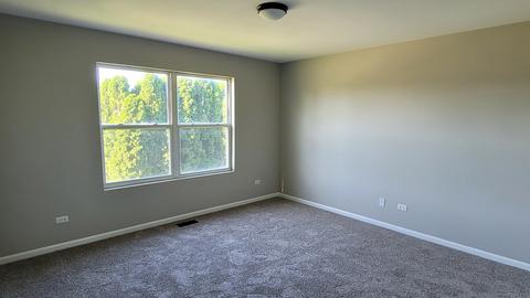 11368 Timer Dr, Huntley, IL 60142 photo 26