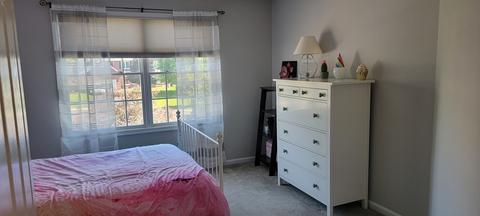 5535 Mallard Ln, Hoffman Estates, IL 60192 photo 39