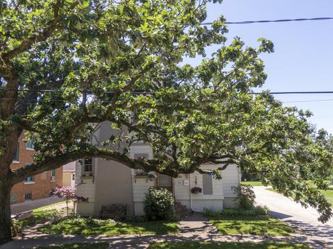 826 Brook St, Elgin, IL 60120 photo 43
