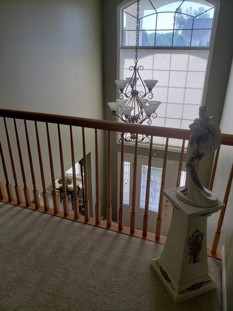 16340 S Arbor Dr, Plainfield, IL 60586 photo 5