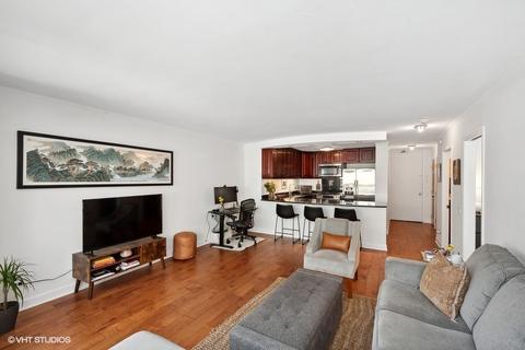 30 E Huron St #1001, Chicago, IL 60611 photo 7