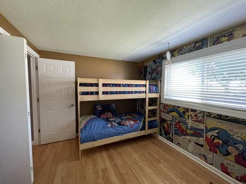 309 W 5th St, Spring Valley, IL 61362 photo 17
