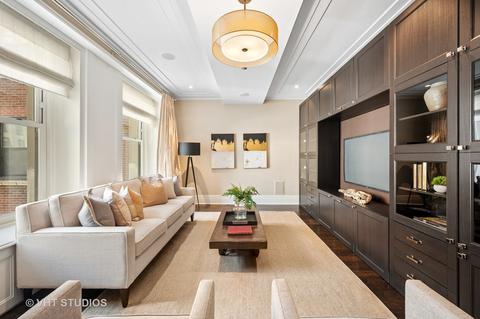159 E Walton Pl #6D, Chicago, IL 60611 photo 18