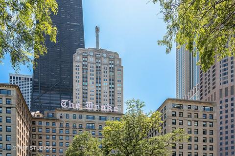 159 E Walton Pl #6D, Chicago, IL 60611 photo 3