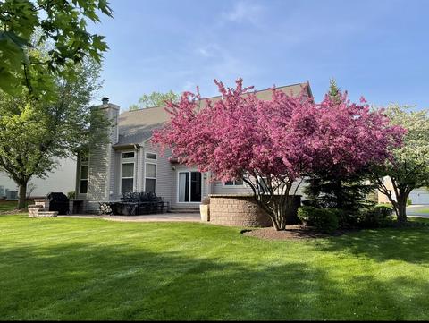 1 Stillwater Ct, Algonquin, IL 60102 photo 6