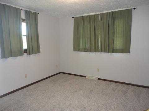 113 Redbud Ln, Morris, IL 60450 photo 20