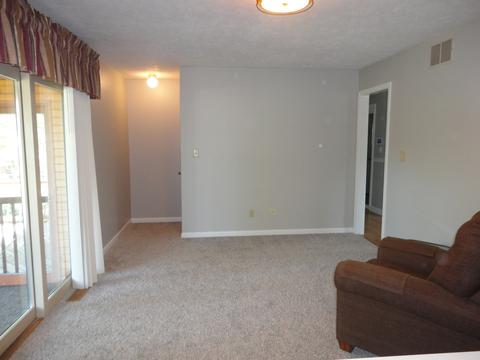 113 Redbud Ln, Morris, IL 60450 photo 13