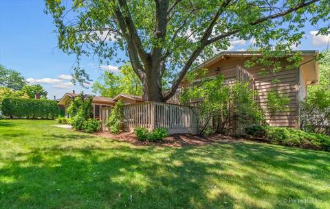 561 W Morse Ave, Bartlett, IL 60103 photo 36
