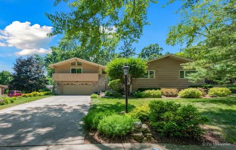 561 W Morse Ave, Bartlett, IL 60103 photo 40