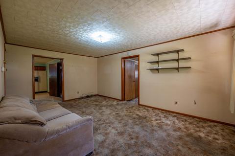 102 5th St, Leaf River, IL 61047 photo 12