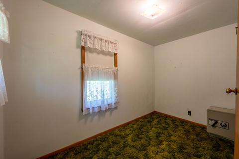 102 5th St, Leaf River, IL 61047 photo 14
