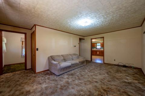 102 5th St, Leaf River, IL 61047 photo 13