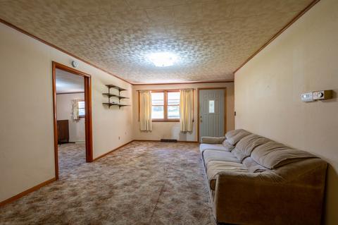 102 5th St, Leaf River, IL 61047 photo 11